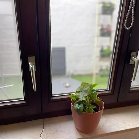 For 2 With Garden In Centre Leuven